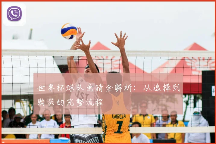 世界杯球队竞猜全解析:从选择到购买的完整流程