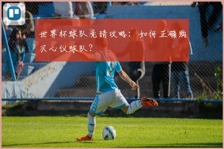 世界杯球队竞猜攻略：如何正确购买心仪球队？