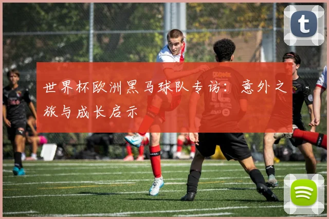 世界杯欧洲黑马球队专访：意外之旅与成长启示