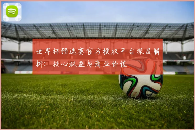 世界杯预选赛官方授权平台深度解析：核心权益与商业价值