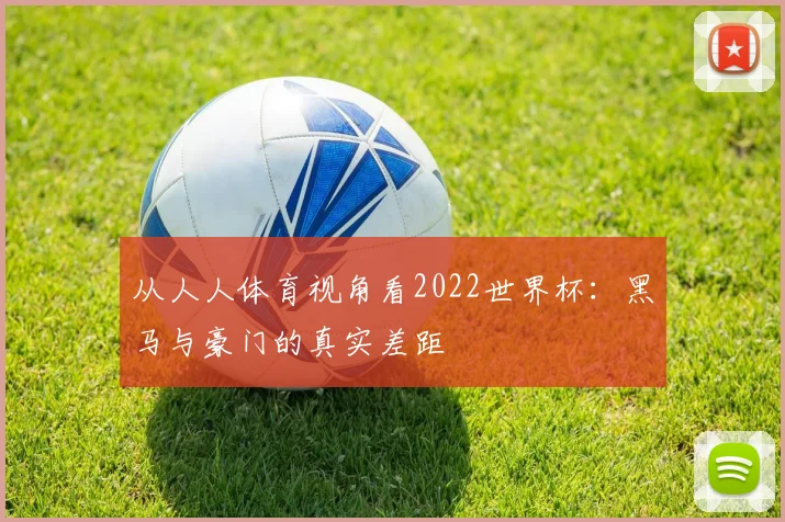 从人人体育视角看2022世界杯：黑马与豪门的真实差距