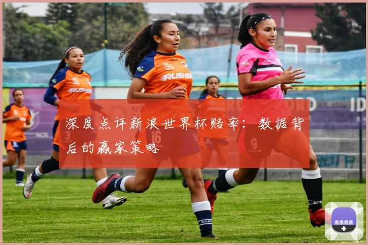 深度点评新浪世界杯赔率:数据背后的赢家策略